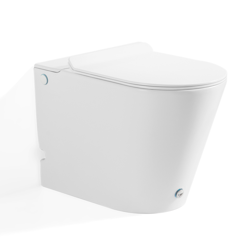 WC à poser blanc brillant ne nécessitant pas de réservoir + abattant, W3.0