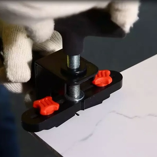337572.jpg
