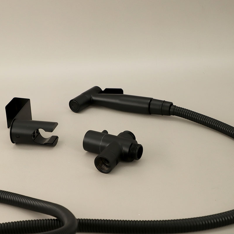 Douchette hygiénique Noir brossé, Châtelet