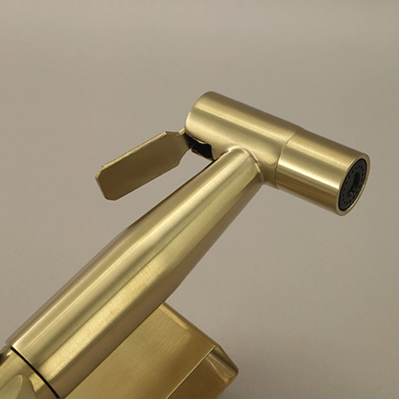 Douchette hygiénique Doré brossé, Châtelet