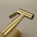 Douchette hygiénique Doré brossé, Châtelet