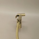 Douchette hygiénique Doré brossé, Châtelet