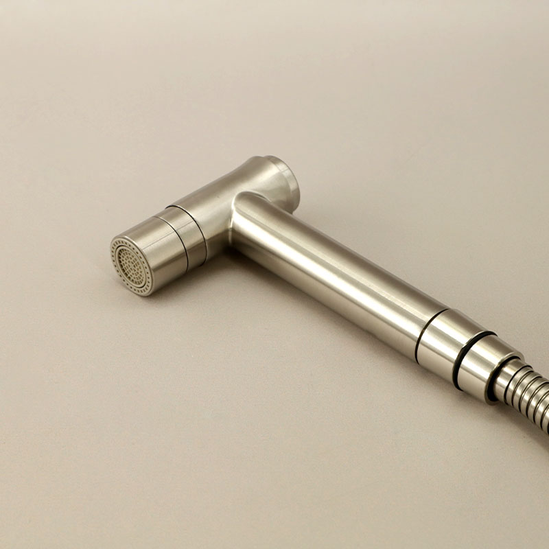 Set douchette hygiénique inox brossé pour WC à poser, Steel