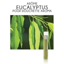Filtre arôme Eucalyptus + Vitamine C pour douchette Aroma (boîte de 3)