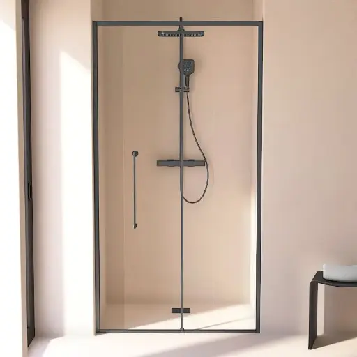 Porte de douche Coulissante de 106.8 à 168.5 cm Gun métal, Paro