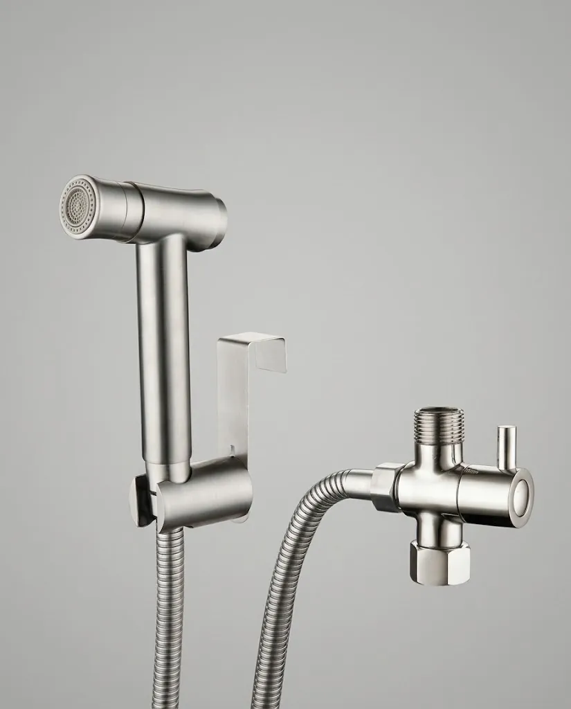 Set douchette hygiénique inox brossé pour WC à poser, Steel