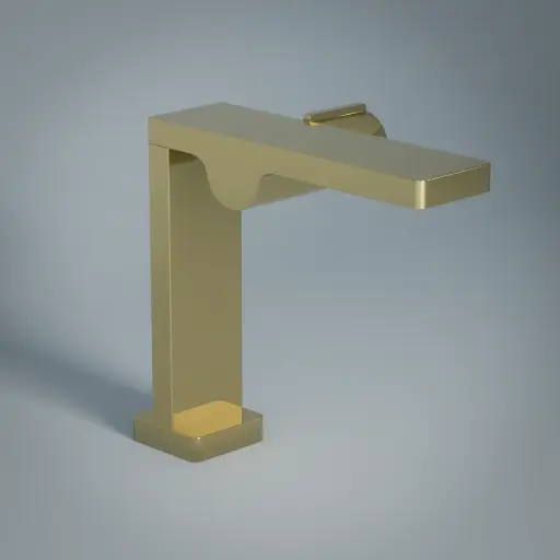 Robinet mitigeur lavabo doré, Carrousel