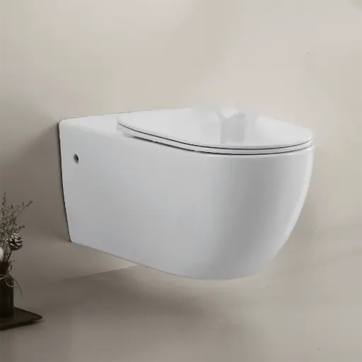 WC Suspendu Personnes à mobilité réduite (PMR)