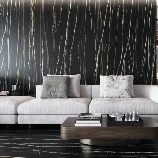 Carrelage sol et mur 60x120 cm Daren noir poli