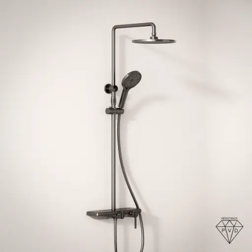 Colonne bain-douche mitigeur avec étagère, gun métal, Carbone  