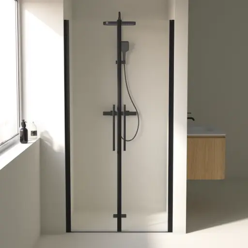 Porte de douche saloon, Sur-mesure de 58 à 95,5 cm, Noir brossé, Regia 